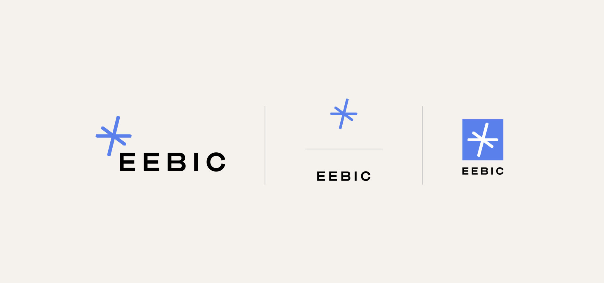 EEBIC_Assets_1